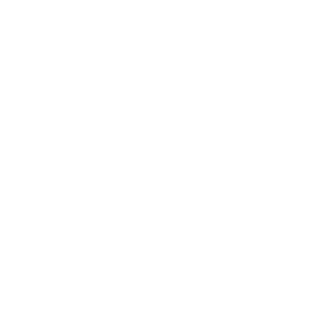 Flugzeug icon