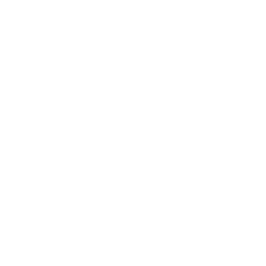 Handy icon
